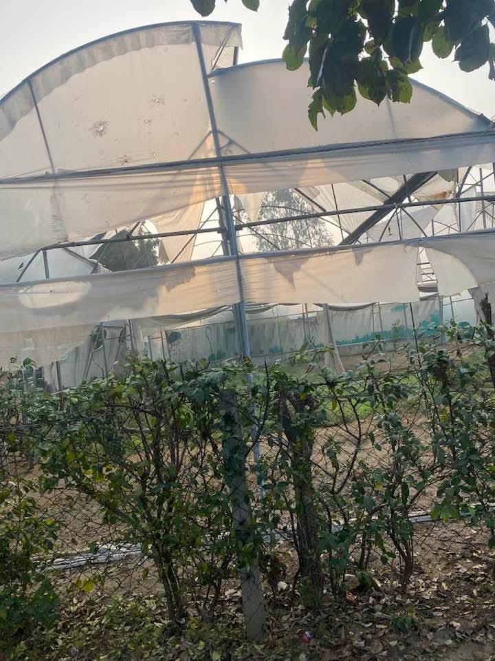 खरगोन में किसानों के नाम पर करोड़ों का खेल, 33 किसानों के नाम पर ₹7.80 करोड़ का लोन; 11 पर FIR